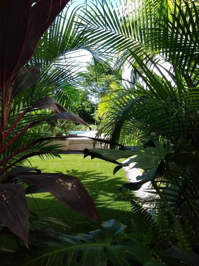 Palm Beach Inn Playa Grande Esterno foto
